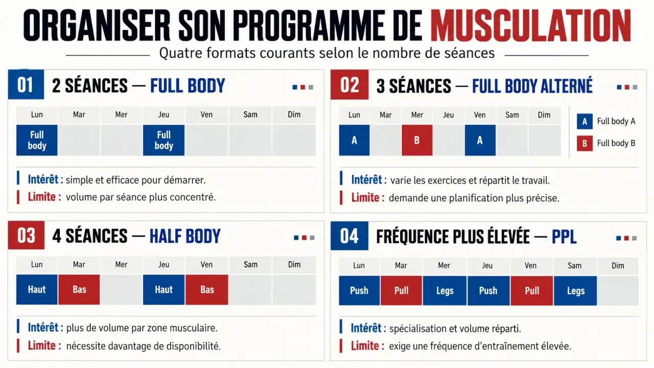 Infographie sur les formats d’un programme de musculation selon le nombre de séances